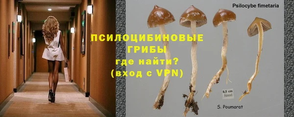 меф Няндома