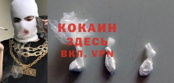 меф Няндома