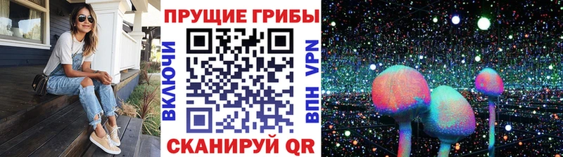 Псилоцибиновые грибы MAGIC MUSHROOMS  Советск 